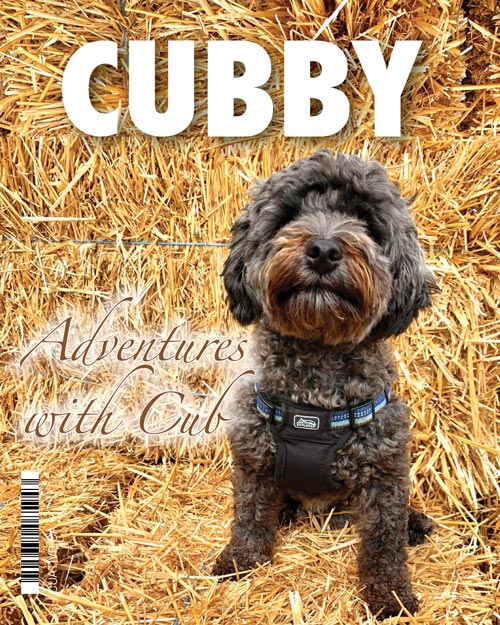 Cubby's mini magazine