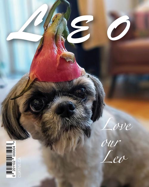Leo-Melanie-Cover-500px