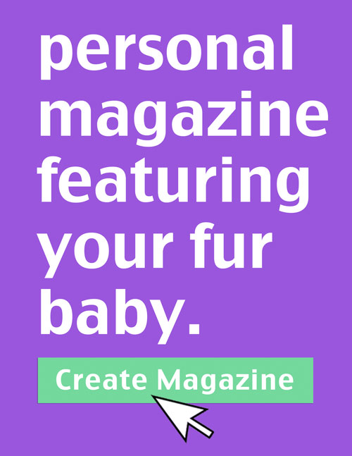 create a magazine for your furbaby